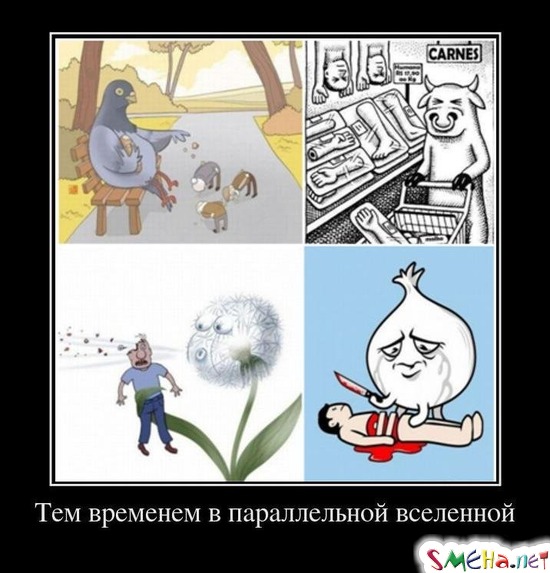 Тем временем в параллельной вселенной