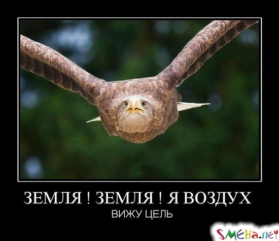 ЗЕМЛЯ ! ЗЕМЛЯ ! Я ВОЗДУХ - ВИЖУ ЦЕЛЬ