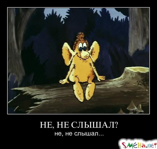 НЕ, НЕ СЛЫШАЛ? - не, не слышал...