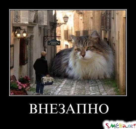 ВНЕЗАПНО