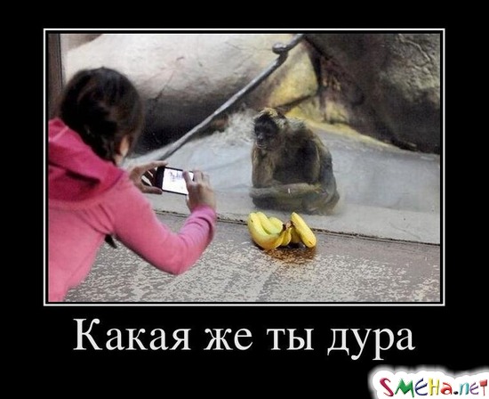 Какая же ты дура