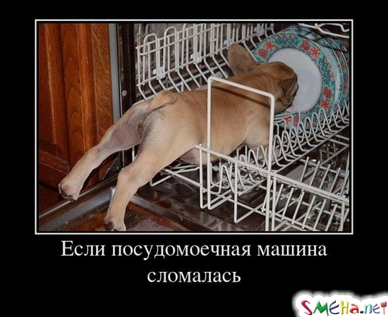 Если посудомоечная машина сломалась