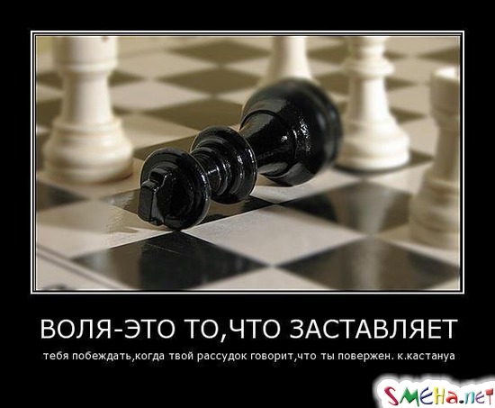 ВОЛЯ - ЭТО ТО, ЧТО ЗАСТАВЛЯЕТ - тебя побеждать, когда твой рассудок говорит, что ты повержен. к.кастануа