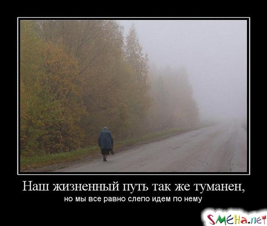 Наш жизненный путь так же туманен, - но мы все равно слепо идем по нему