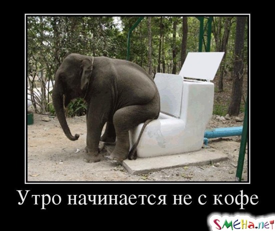 Утро начинается не с кофе