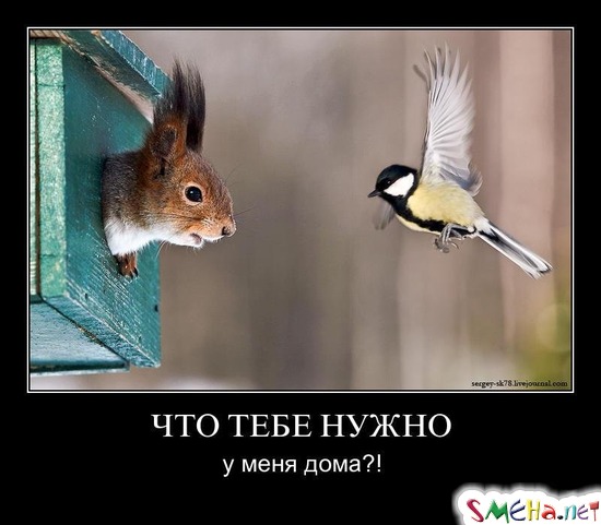 ЧТО ТЕБЕ НУЖНО - у меня дома?!