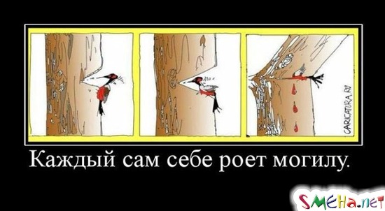 Каждый сам себе роет могилу.