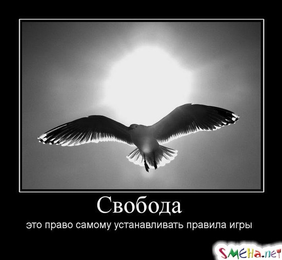 Свобода - это право самому устанавливать правила игры