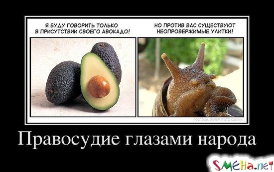 Правосудие глазами народа