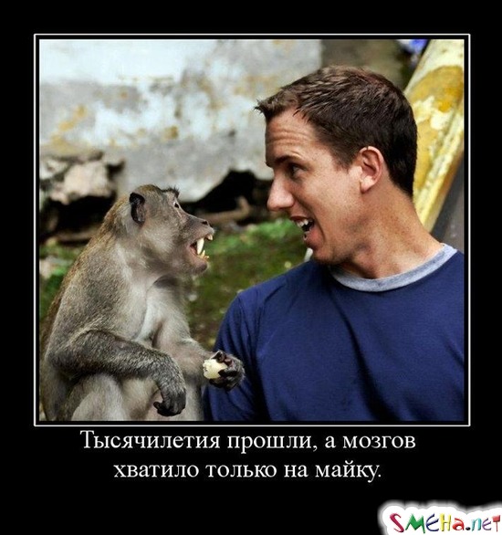 Тысячилетия прошли, а мозгов хватило только на майку.