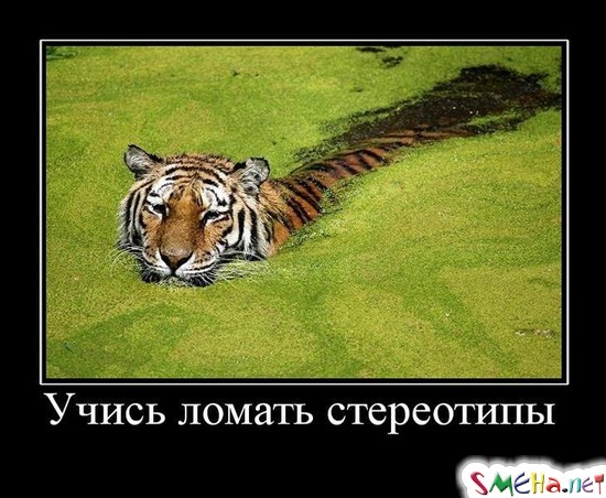 Учись ломать стереотипы