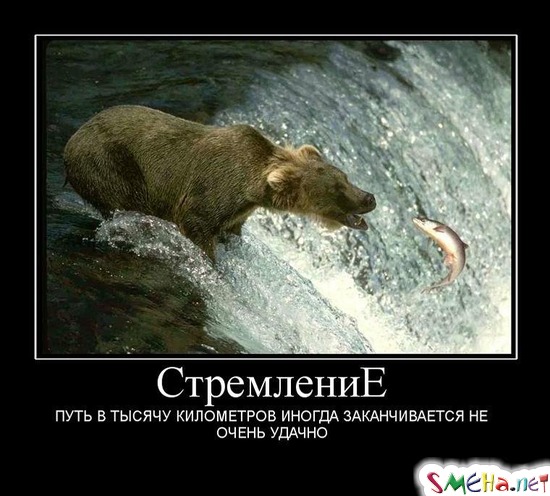 Стремление - ПУТЬ В ТЫСЯЧУ КИЛОМЕТРОВ ИНОГДА ЗАКАНЧИВАЕТСЯ НЕ ОЧЕНЬ УДАЧНО