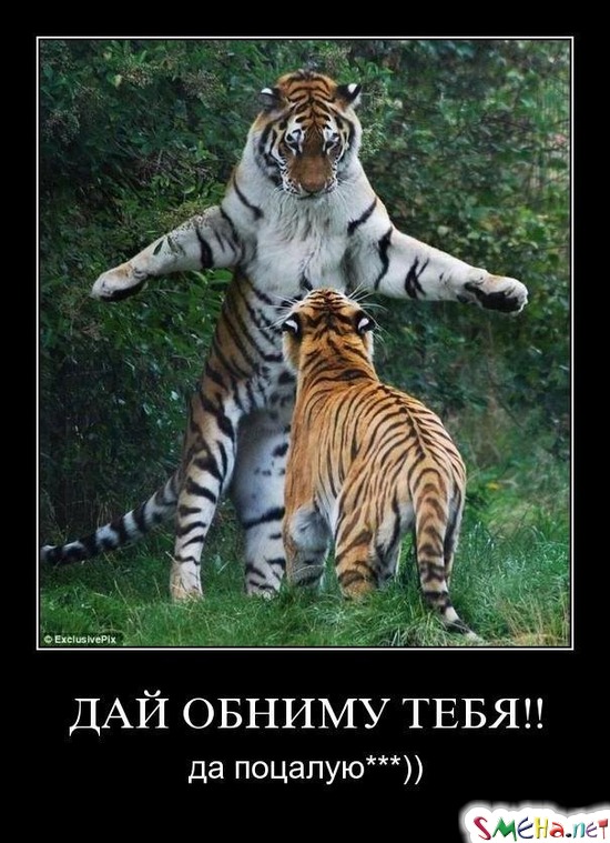 ДАЙ ОБНИМУ ТЕБЯ!! - да поцалую))