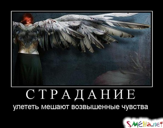 СТРАДАНИЕ - улететь мешают возвышенные чувства