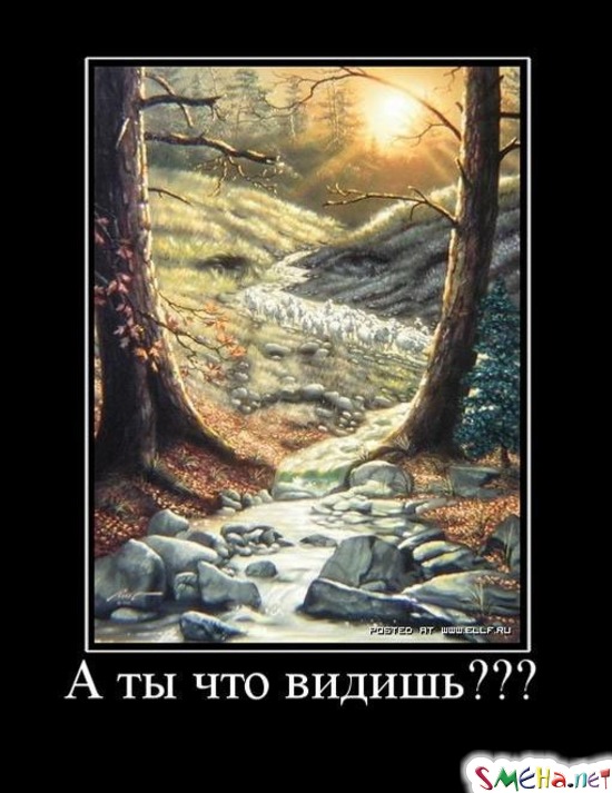 А ты что видишь???