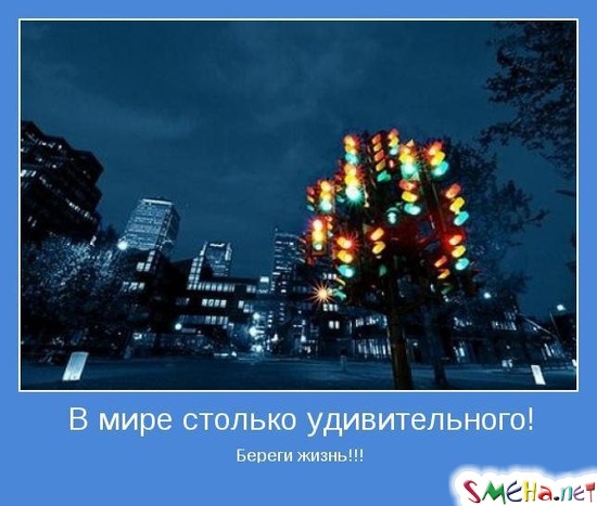 В мире столько удивительного! - Береги жизнь!!!