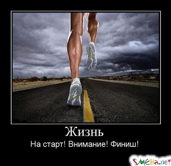 Жизнь - На старт! Внимание! Финиш!