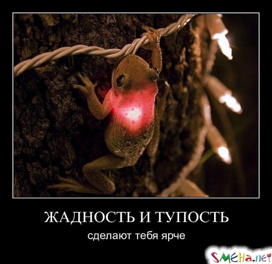 ЖАДНОСТЬ И ТУПОСТЬ - сделают тебя ярче