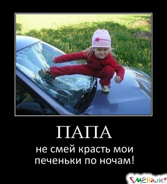 ПАПА - не смей красть мои печеньки по ночам!