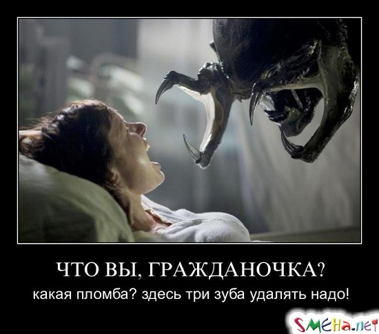 ЧТО ВЫ, ГРАЖДАНОЧКА? - какая пломба? здесь три зуба удалять надо!