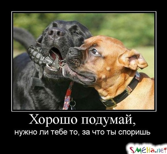 Хорошо подумай, - нужно ли тебе то, за что ты споришь
