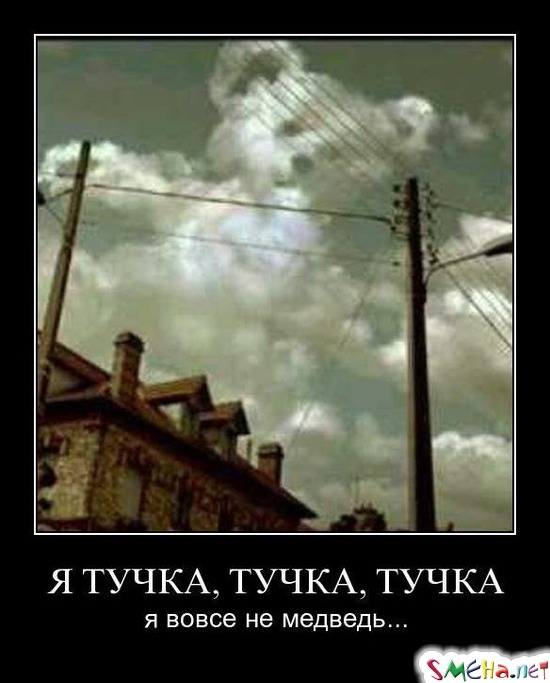 Я ТУЧКА, ТУЧКА, ТУЧКА - я вовсе не медведь