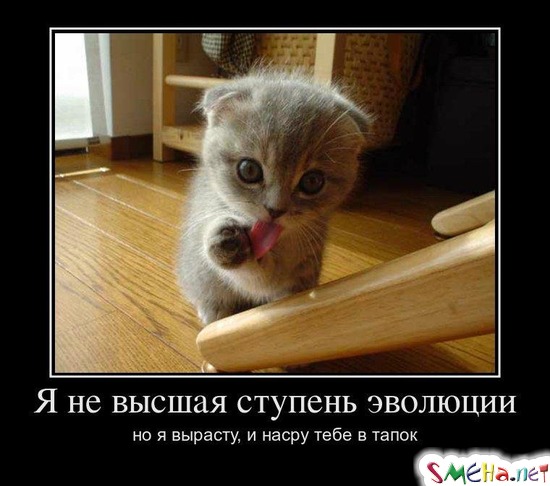 Я не высшая ступень эволюции - но я вырасту, и насру тебе в тапок