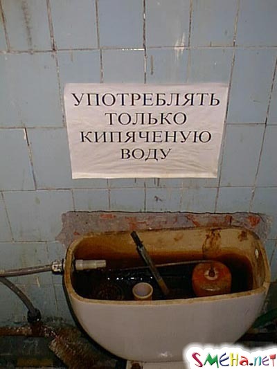 Прикольные фото