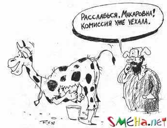 Прикольные фото