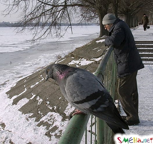Фото приколы с животными