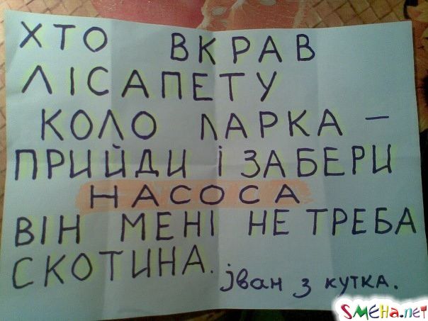 Прикольные фото