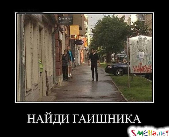 Фото приколы с животными