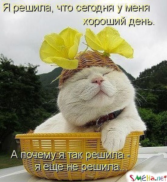 Фото приколы с животными