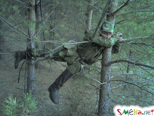 Хорошо висим