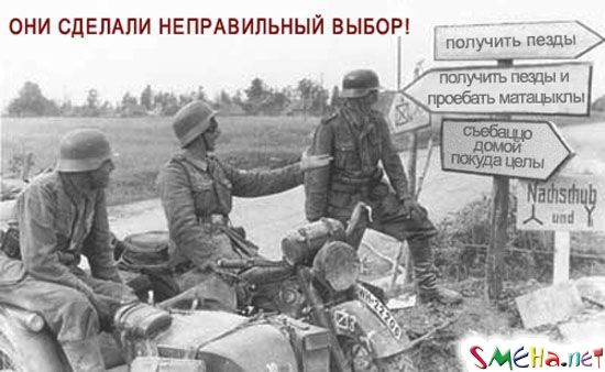 Прикольные фото