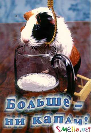 Прикольные фото