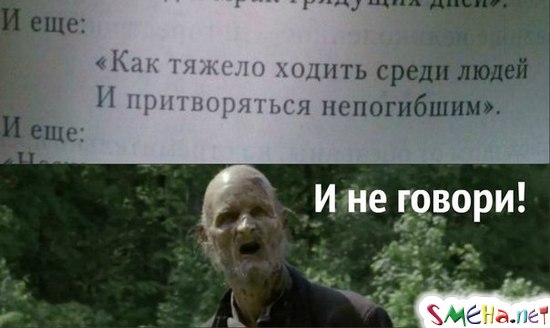 Прикольные фото