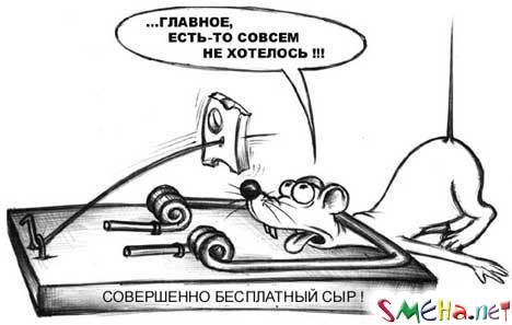 Прикольные фото