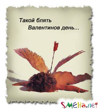 Прикольные фото