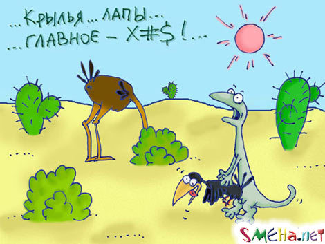 Прикольные фото