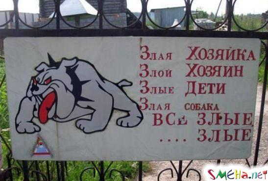 Прикольные фото