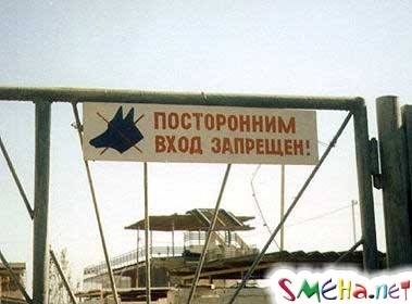 Прикольные фото
