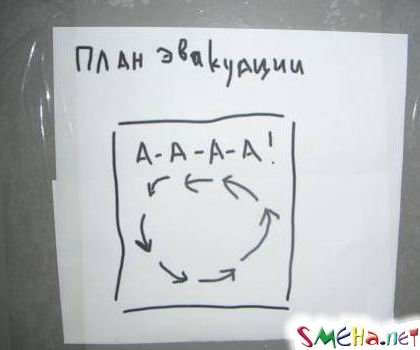 Прикольные фото