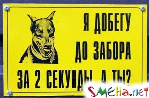 Sobaka))