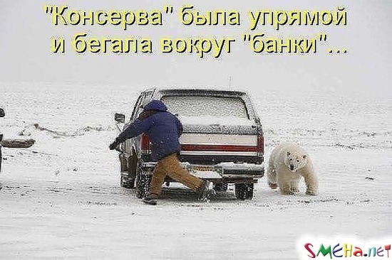 "Консерва" была упрямой и бегала вокруг "банки"
