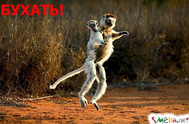 Ну что выпим!!!???