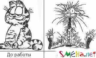 Чернушные фото приколы