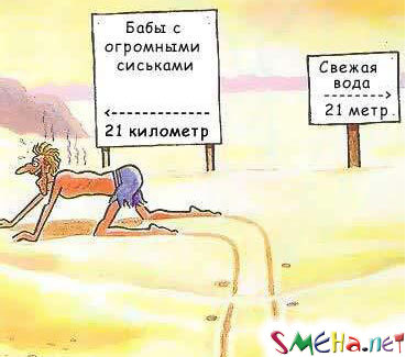 Прикольные фото