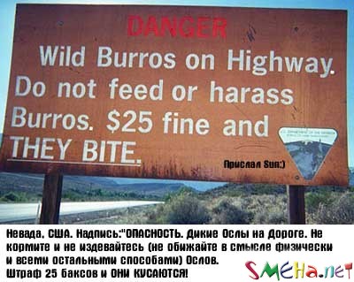 Рекламные фото приколы
