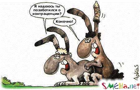 Пикантные фото приколы